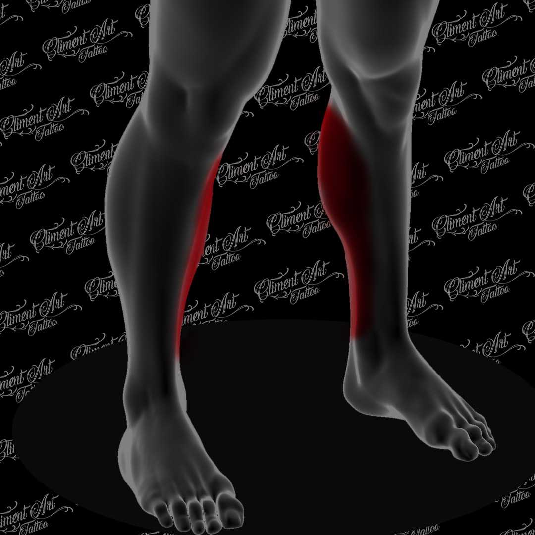 Pierna- Gemelo Interior