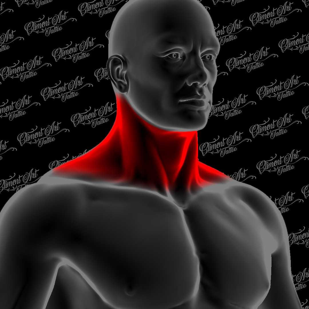 Tronco- Cuello Frontal, lateral